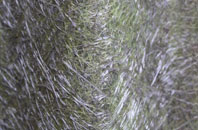 Alconbury fibreglass roof work